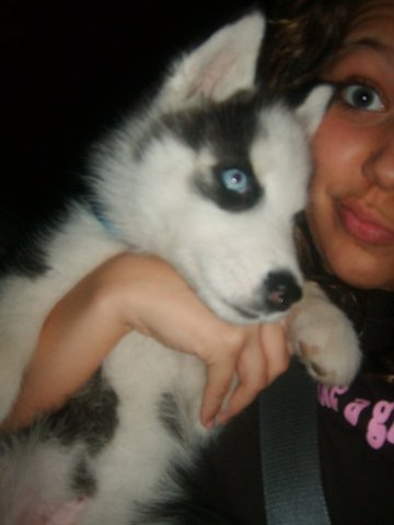 Moved in with Josh and Melissa