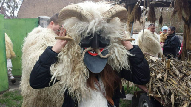 Buso-walking in Mohács (Hungary, Febr 12-17)