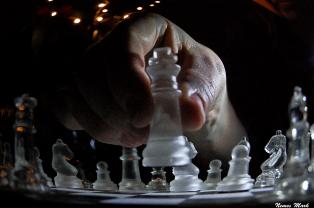 The day of Hungarian Science