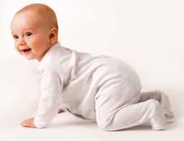 Started crawling (Biosocial)