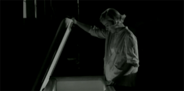 Mary goes and gets a lamb leg...