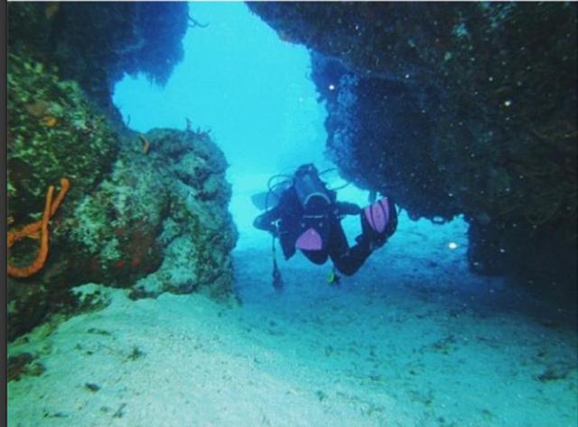 Started Scuba Diving