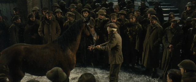 Joey is taken to a veternairy hospital..