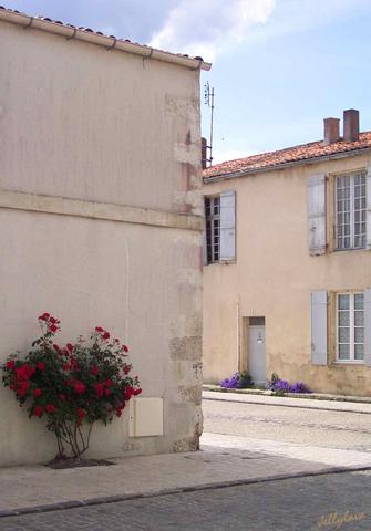 The sniper looks around the corner