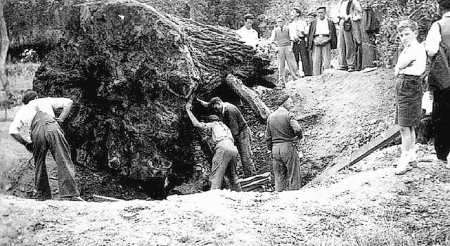 mas sistemas educativos en la colonia