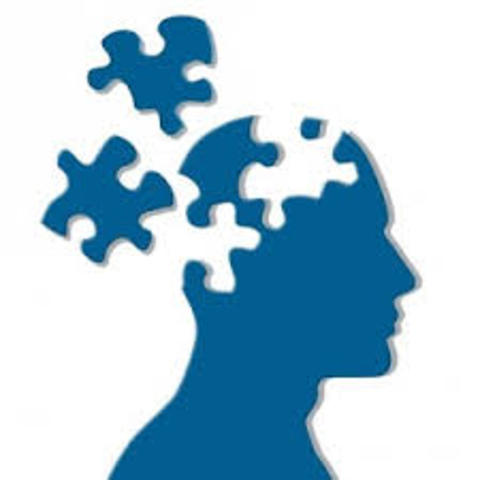 Conferência sobre a formação científica e profissional dos psicólogos.