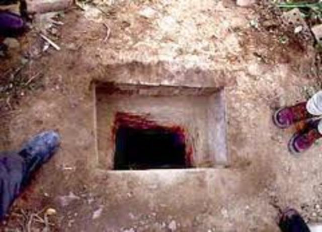 Perry and Peewee gets stuck