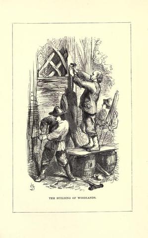 Swiss Family Robinson - Johann David Wyss