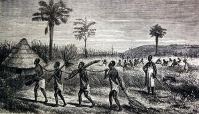 Establishment of the British Slave Trade
