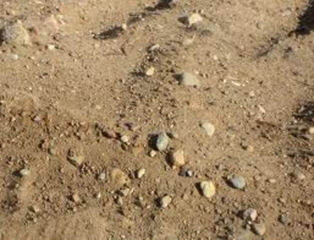 Working for a dviner