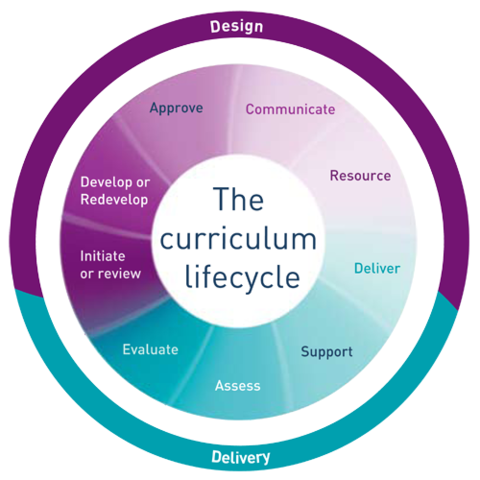 Curriculum