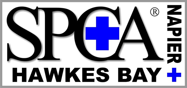 Working as a volunteer at the SPCA