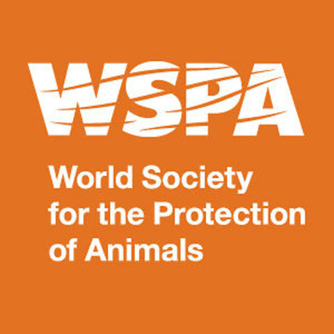 Volunteer/working with WSPA overseas for a year, helping rescue animals