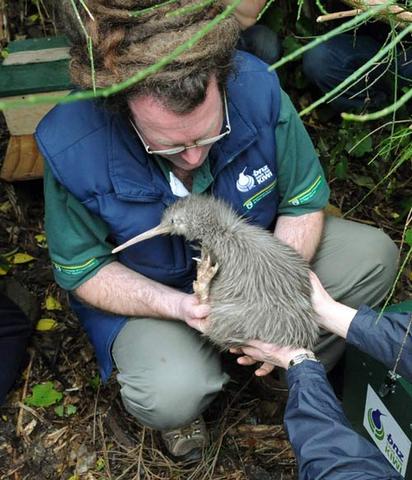 Possible work at the zoo or Department of Conservation