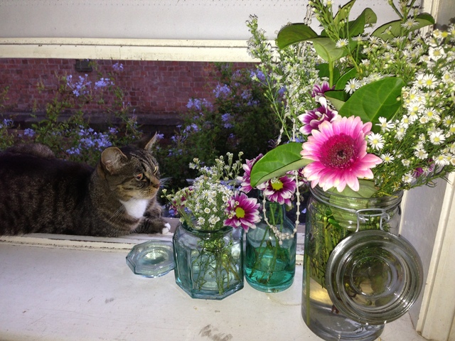 Teaching 5 C POSITIVE