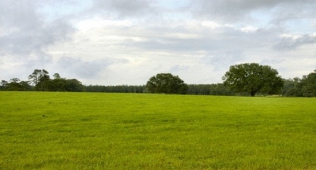 Buy land to build on