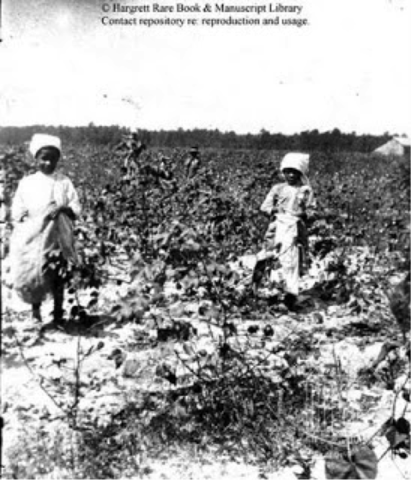 Slave Working details, hours, work ect...