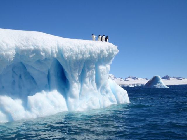 Antartica Treaty signed