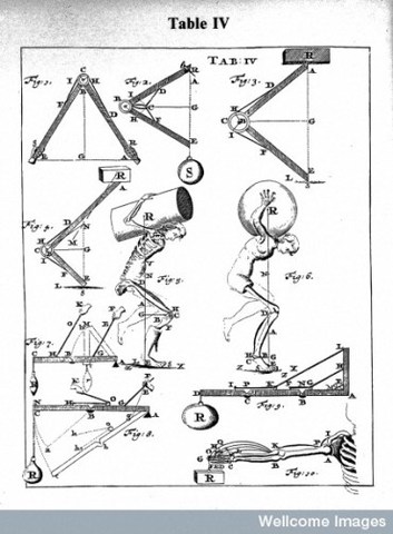"Demonstration of Joints As a System of Levers"