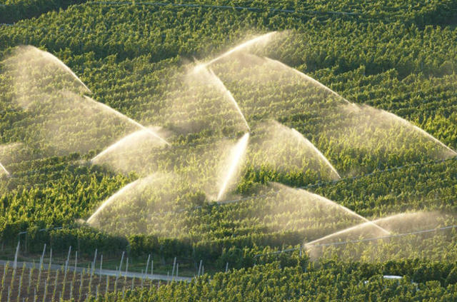 Ventas Productos Ecológicos