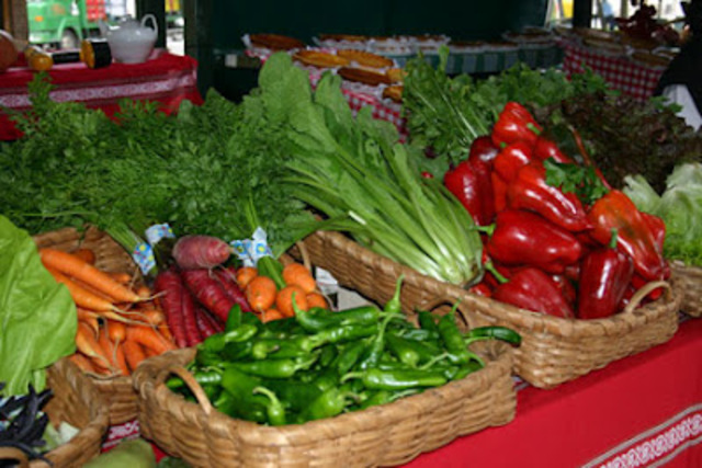 Reconocimiento de la CE