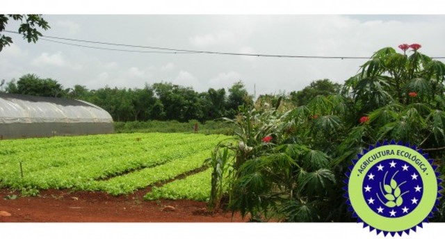 Protección del Medio Ambiente
