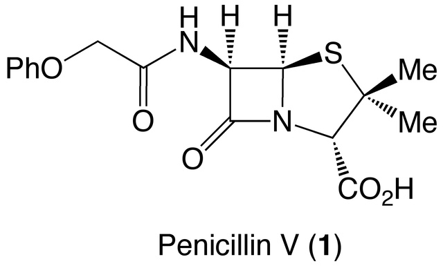The accidental creation of penicillin