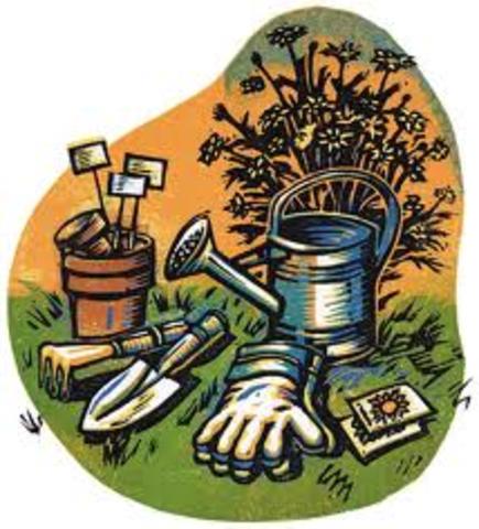 Late Adulthood: Psychosocial