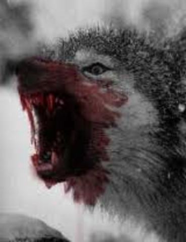 Beaten Down to Obedience