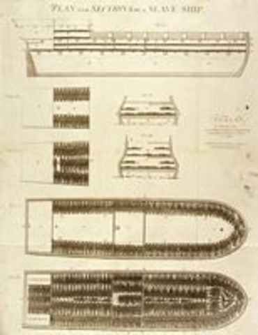 « Plan and Section of a Slave Ship », the Brooks, of Liverpool