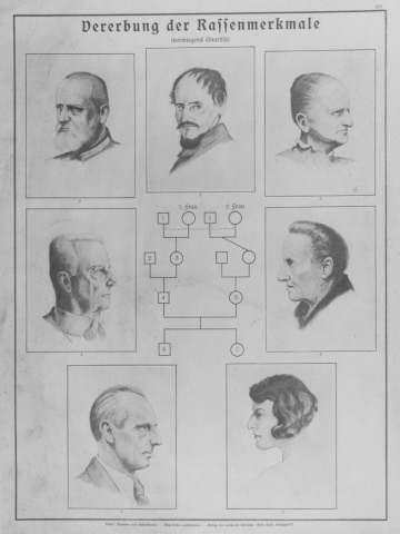 "The Inheritance of Racial Features (Primarily Dinaric)"