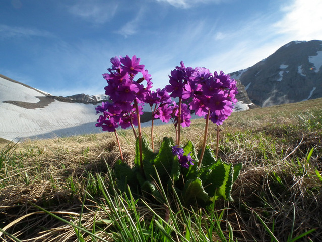 Решением ЮНЕСКО присвоен статус биосферного