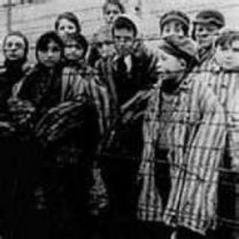 they live and have to survive on their own