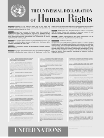 The Universal Declaration of Human Rights
