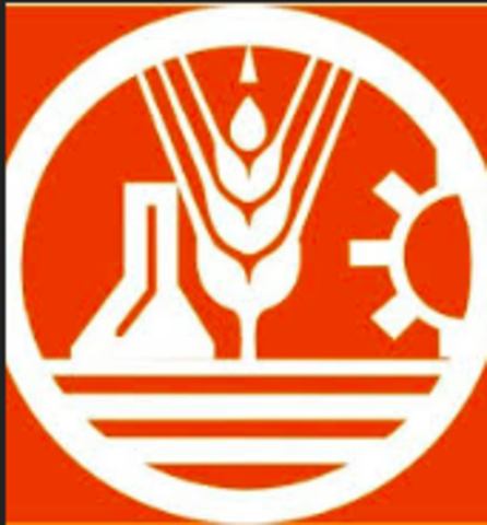 TRABAJAR EN UNA EMPRESA