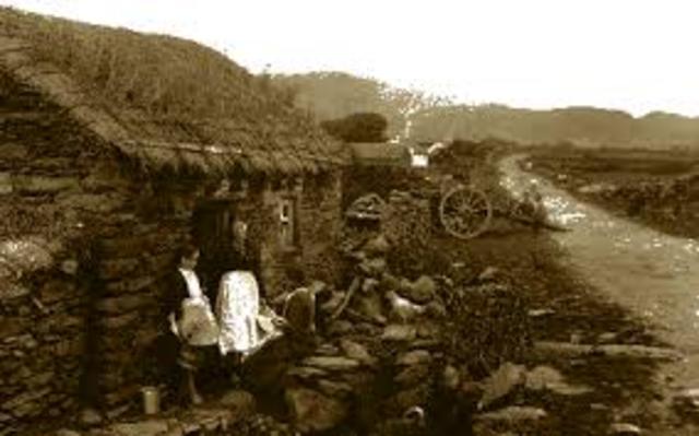 Disease Attackes the Potatoes in Ireland