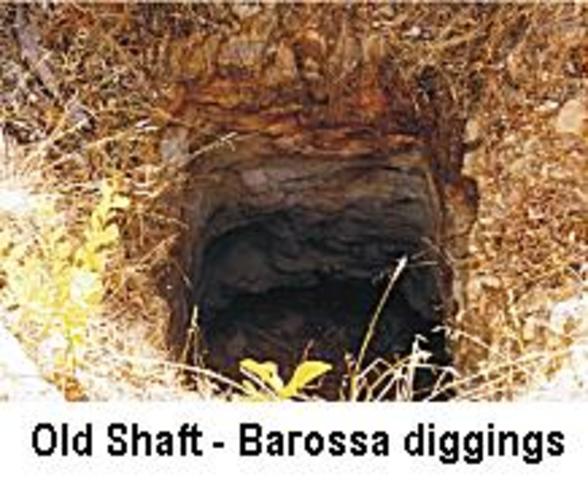 Gold found in Gawler