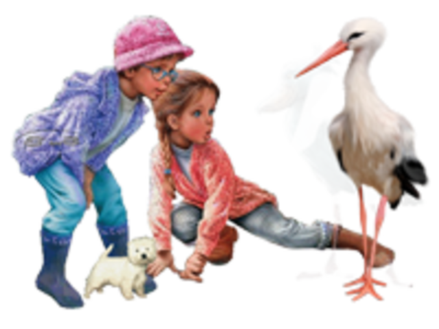 Присвоен статус территориальной апробационной площадки