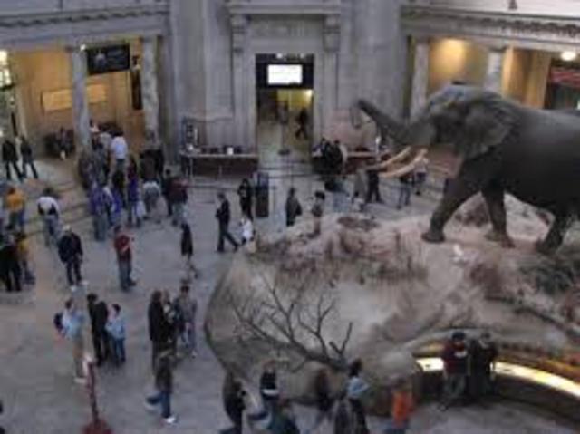 5th Smithsonian Natural History Museum