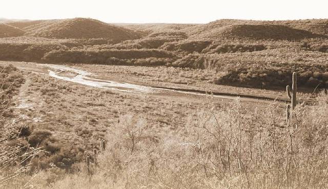 Camp Grant, AZ Apache massacre