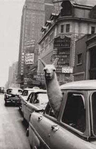 Tripartite pact signed