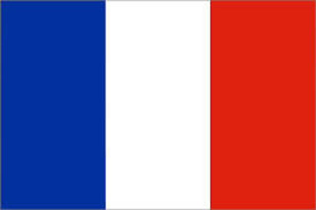 Vichy Government Established in France