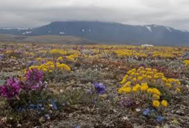 Заказник республиканского значения