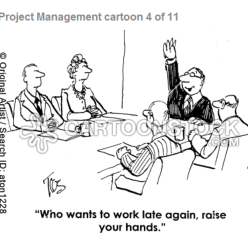 project managers