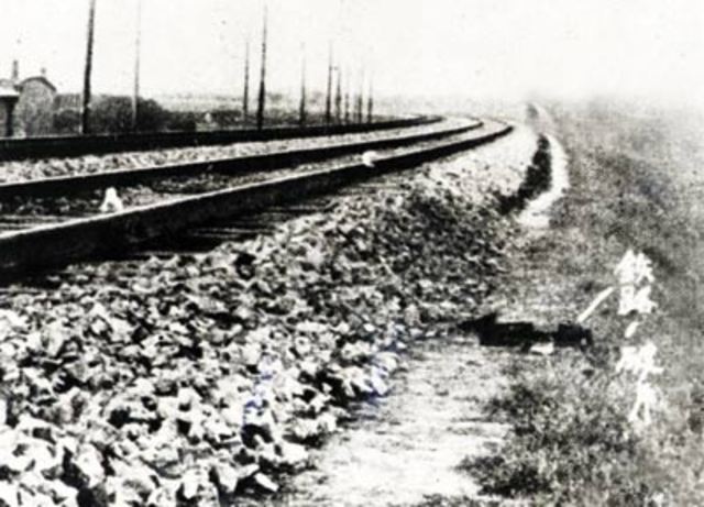 Article willow lake incident