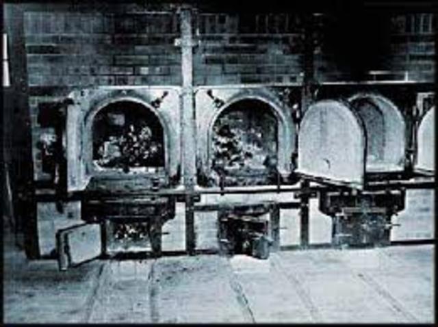 Hitler Enacted the Final Solution