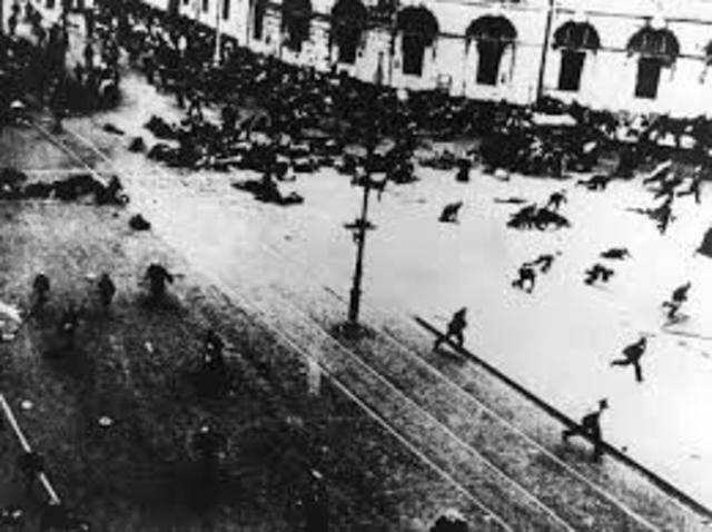 THE BOLSHEVIK REVOLUTION