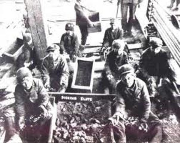 Fair Labor Standard Act