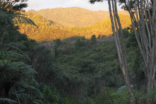 Sunset on the driveway