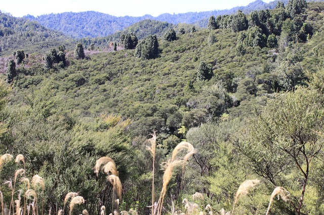 view from the shower